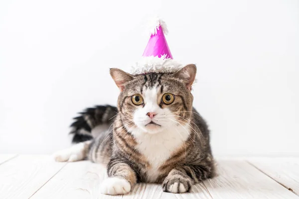 cute grey cat with party hat