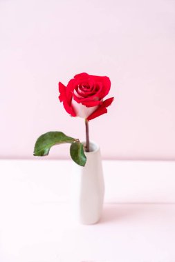 ahşap arka plan üzerinde kırmızı gül