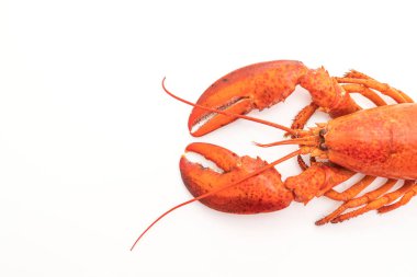 Beyaz arka plan üzerinde izole pişmiş ıstakoz