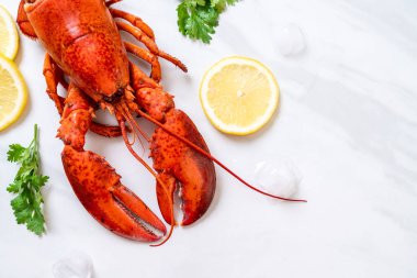 buz ve limon ile taze haşlanmış kırmızı ıstakoz