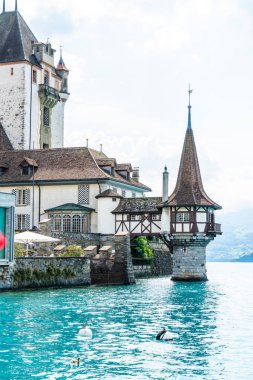 Thun Gölü arka planda İsviçre ile Oberhofen kalesinde güzel mimari