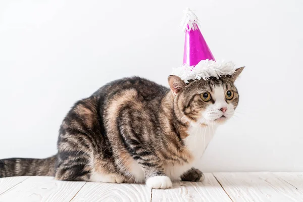 Lindo Gato Gris Con Sombrero Fiesta —  Fotos de Stock