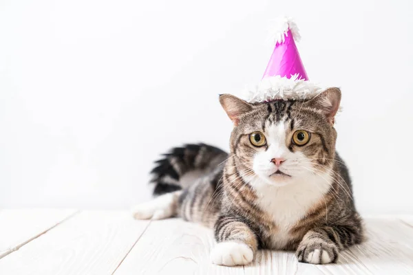 Lindo Gato Gris Con Sombrero Fiesta —  Fotos de Stock