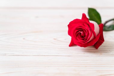 ahşap arka plan üzerinde kırmızı gül