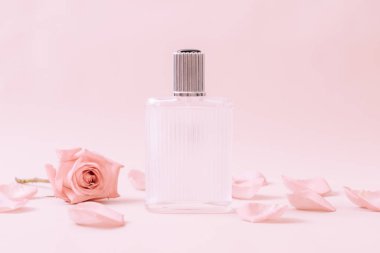 parfüm şişesi ile rose petal arka plan üzerinde