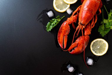 buz ve limon ile taze haşlanmış kırmızı ıstakoz