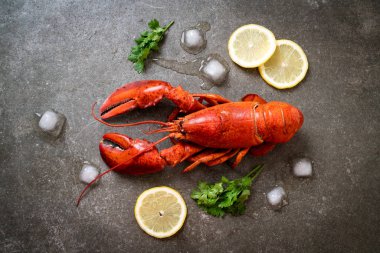 buz ve limon ile taze haşlanmış kırmızı ıstakoz