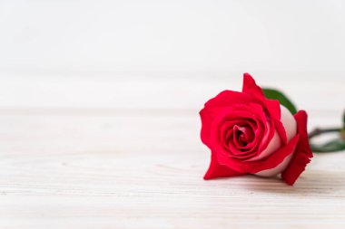 ahşap arka plan üzerinde kırmızı gül