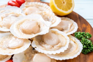 Ahşap tahta üzerinde taze kabuk tarak