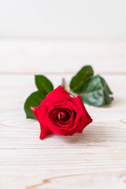 ahşap arka plan üzerinde kırmızı gül