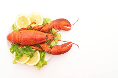 Beyaz arka planda taze haşlanmış sebze ve limonlu ıstakoz.