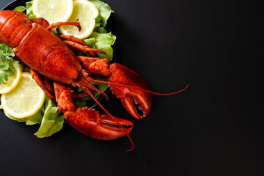 taze Haşlanmış istakoz sebze ve limon ile