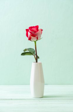 ahşap arka plan üzerinde kırmızı gül