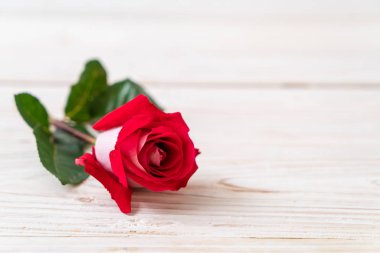 ahşap arka plan üzerinde kırmızı gül
