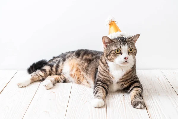 cute grey cat with party hat