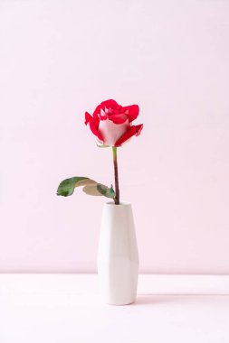 ahşap arka plan üzerinde kırmızı gül