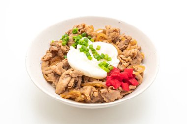 domuz eti pilav kasesi beyaz arka plan üzerinde - Japon yemekleri stil izole yumurta (Donburi) ile