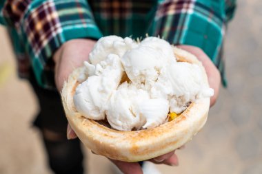 Hindistan cevizi kabuğunda hindistan cevizi dondurması