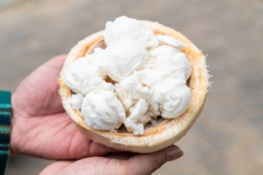 Hindistan cevizi kabuğunda hindistan cevizi dondurması