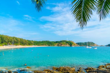 Güzel tropikal plaj ve Hindistan cevizi hurma ağacı Cennet Adası - tatil tatil kavramı ile