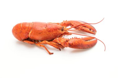 Beyaz arka plan üzerinde izole pişmiş ıstakoz