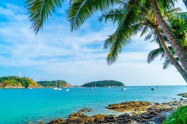 Güzel tropikal plaj ve Hindistan cevizi hurma ağacı Cennet Adası - tatil tatil kavramı ile