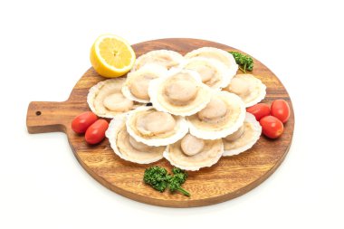 beyaz arkaplanda izole edilmiş taze deniz tarağı