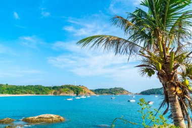 Güzel tropikal plaj ve Hindistan cevizi hurma ağacı Cennet Adası - tatil tatil kavramı ile