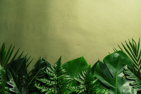 Tropikalne Palma Pozostawia Tle Kolor Kopia Miejsce — Zdjęcie stockowe