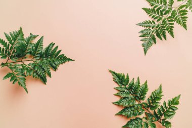 Tropikal yeşil yaprakları ile boşaltmak renk arka plan üzerinde