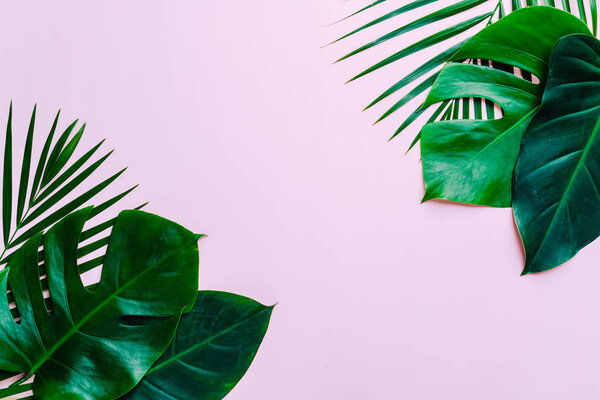 Tropical palm leaves on color background with copy space