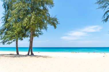 Güzel tropikal plaj ve Hindistan cevizi hurma ağacı Cennet Adası - tatil tatil kavramı ile