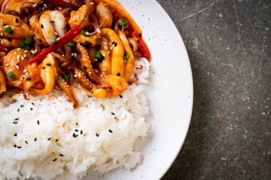 tavada kızartılmış ahtapot veya kalamar ve pirinç - Kore yemeği tarzı ile Kore baharatlı hamur (osam bulgogi)