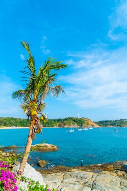 Güzel tropikal plaj ve Hindistan cevizi hurma ağacı Cennet Adası - tatil tatil kavramı ile