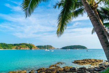 Güzel tropikal plaj ve Hindistan cevizi hurma ağacı Cennet Adası - tatil tatil kavramı ile