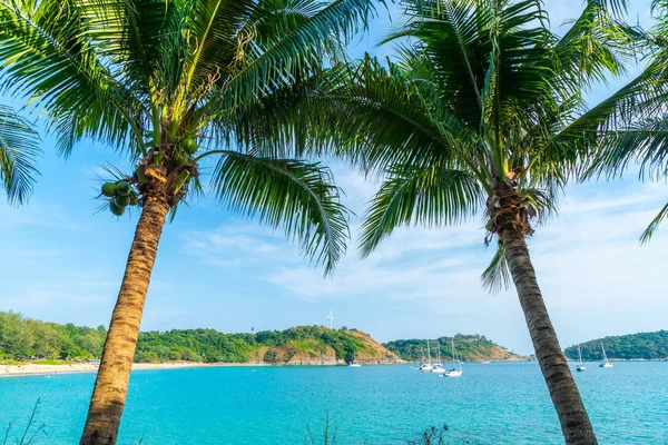 Beautiful Tropical Beach Sea Coconut Palm Tree Paradise Island Holiday — Stock Photo, Image