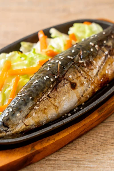 Friptură Pește Grătar Saba Sos Teriyaki Stil Alimentar Japonez — Fotografie, imagine de stoc
