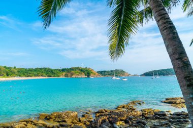 Güzel tropikal plaj ve Hindistan cevizi hurma ağacı Cennet Adası - tatil tatil kavramı ile