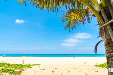 Güzel tropikal plaj ve Hindistan cevizi hurma ağacı Cennet Adası - tatil tatil kavramı ile