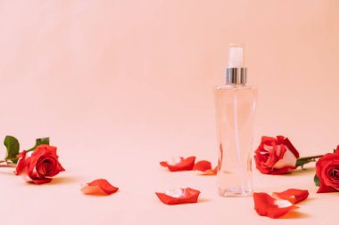 parfüm şişesi ile rose petal arka plan üzerinde