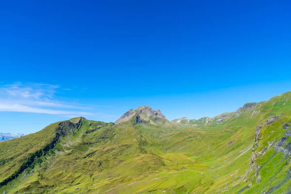 Güzel Alps dağ Grindelwald, İsviçre mavi gökyüzü ile
