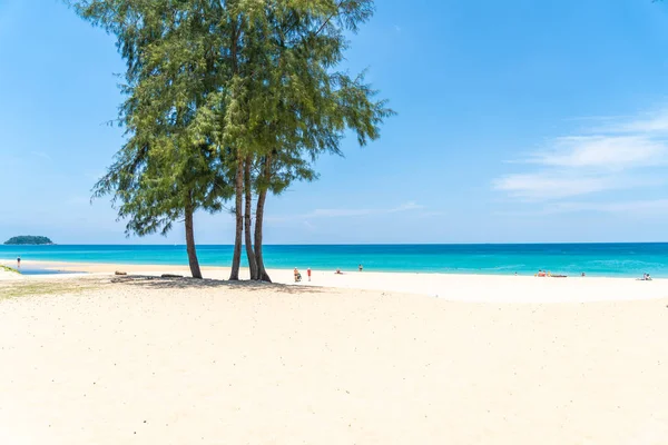 Hermosa Playa Tropical Mar Con Palmera Coco Isla Paradisíaca Concepto — Foto de Stock