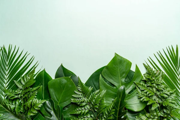 Kopya Alanı Ile Renk Arka Plan Üzerinde Tropikal Palmiye Yaprakları — Stok fotoğraf