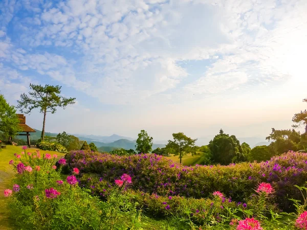 Beautiful sunrise sky with garden on mountain at Huai Nam Dang N