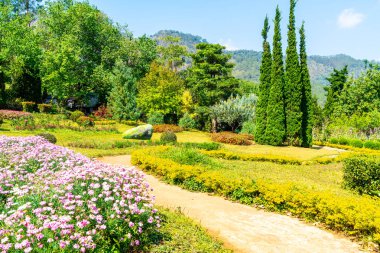 güzel Bahçe park dağ Chiang Mai, Tayland