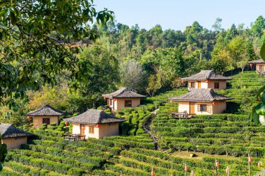 Rak Thai, Mae Hong Son, Tayland Çinli bir yerleşim yasağı.