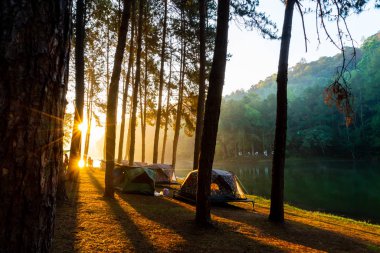 Pang oung göl ve orman sunrise Mae Hong Son, inci ile çam
