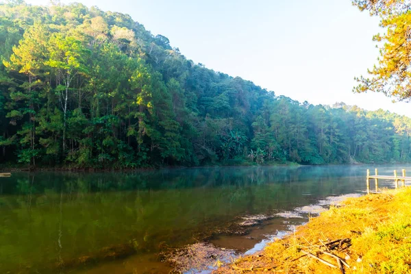 Lago Pang y bosque de pinos con salida del sol en Mae Hong Son, Th —  Fotos de Stock