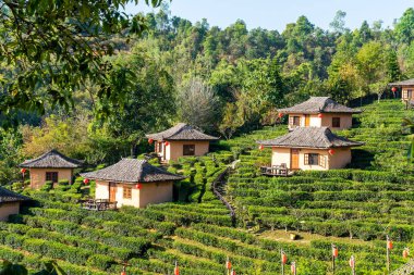 Rak Thai, Mae Hong Son, Tayland Çinli bir yerleşim yasağı.