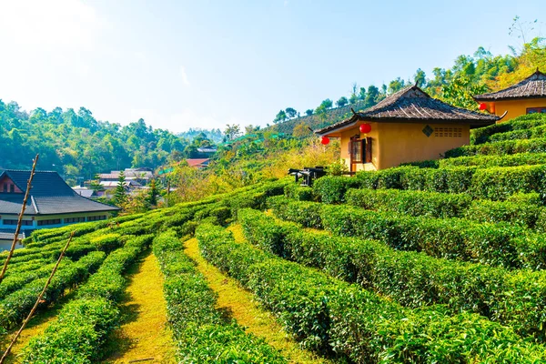 泰国的中国定居点: 泰国 mae hong son. — 图库照片